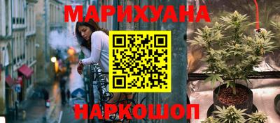 шишки Братск
