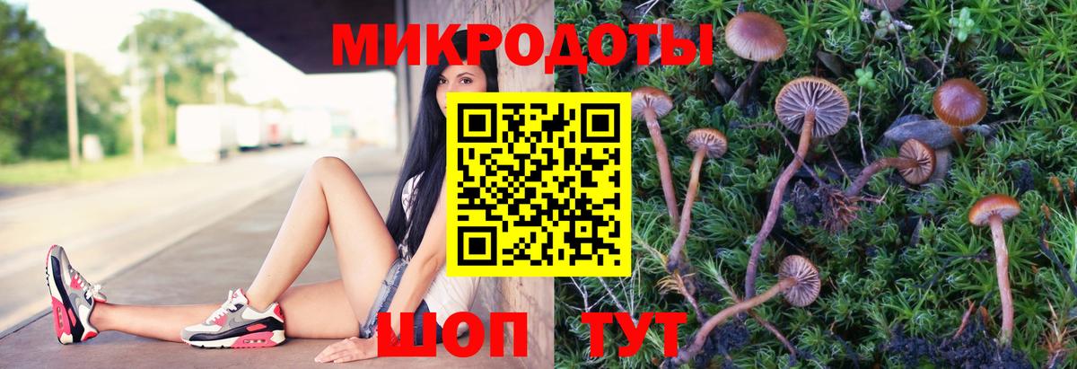 Псилоцибиновые грибы ЛСД  Вход с VPN  Красногорск 