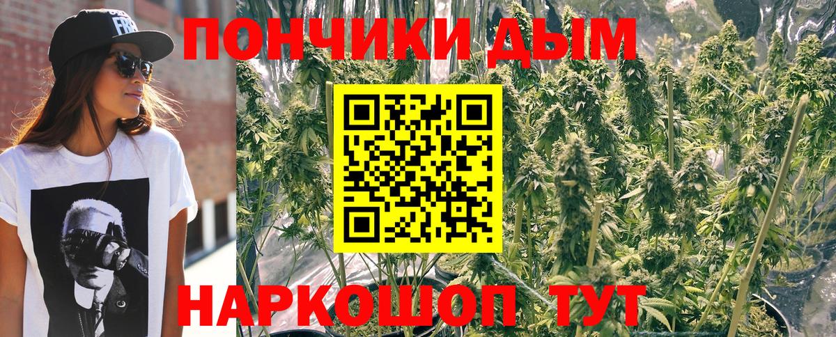 Бошки марихуана планчик  Вход с VPN  Шишки марихуана Amnesia  Красногорск  Марихуана ГИДРОПОН  Бошки марихуана марихуана 